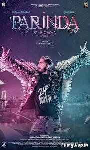 Parinda Paar Geyaa (2023)     