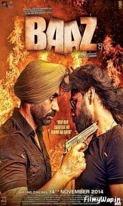 Baaz (2014)     