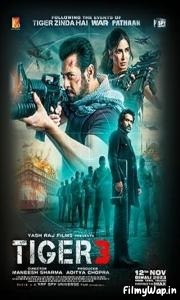 Tiger 3 (2023)  HD     
