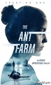 The Ant Farm (2022) 