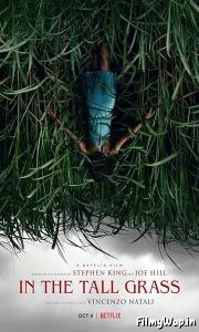 In The Tall Grass (2019)