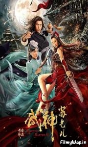 Kung Fu Master Su Golden Pirate (2020)
