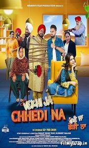 Vekhi Ja Chhedi Na (2024)