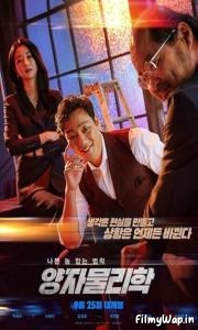 By Quantum Physics: A Nightlife Venture (2019)