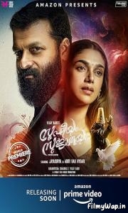 Sufiyum Sujatayum (2020)