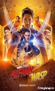 Ant-Man and the Wasp (2018) 