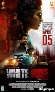 White Rose (2024)