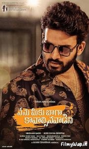Nenu Meeku Baga Kaavalsinavaadini (2022)