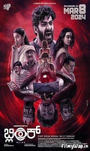 Blink (2024)