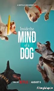Inside the Mind of a Dog (2024)