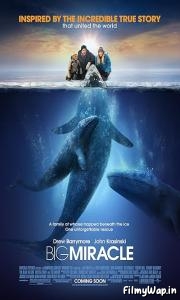 Big Miracle (2012)