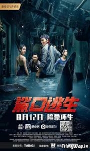 Escape of Shark (2021)