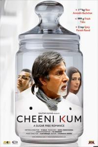 Pathaan movie poster