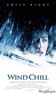 Wind Chill (2007)