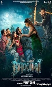The Bhootnii (2025)