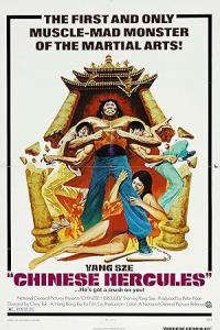 Pathaan movie poster