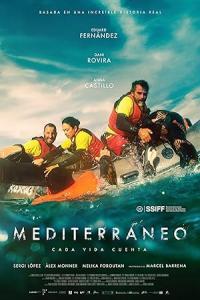 Pathaan movie poster
