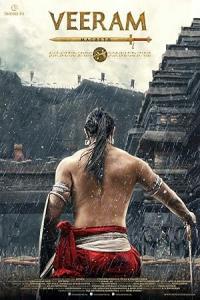 Pathaan movie poster