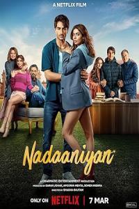 Pathaan movie poster