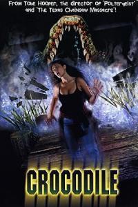Pathaan movie poster