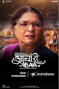 Pathaan movie poster