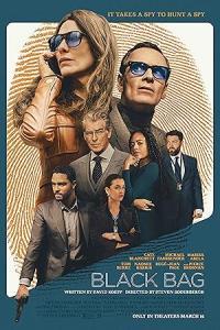 Pathaan movie poster