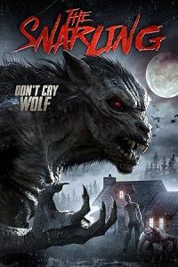 Pathaan movie poster