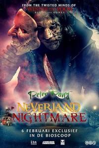 Pathaan movie poster