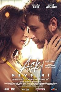 Pathaan movie poster