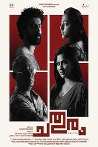 Pathaan movie poster