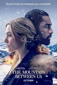 Pathaan movie poster