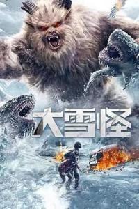 Pathaan movie poster