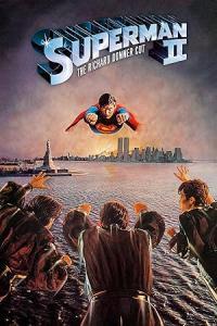 Pathaan movie poster