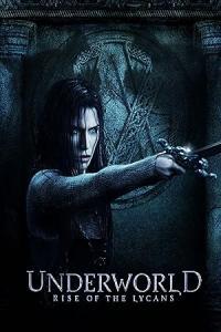 Pathaan movie poster