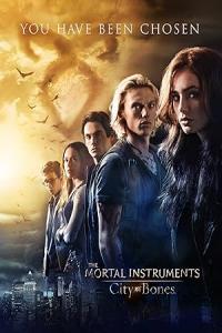 Pathaan movie poster