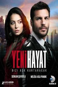 Pathaan movie poster