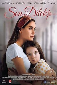 Pathaan movie poster