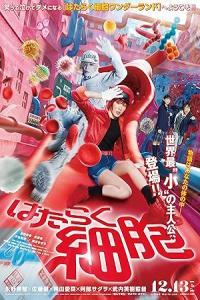 Pathaan movie poster