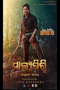 Pathaan movie poster
