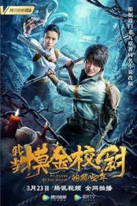 Pathaan movie poster