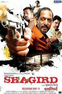 Pathaan movie poster