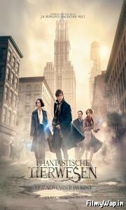 Fantastic Beasts and Where to Find Them (2016)