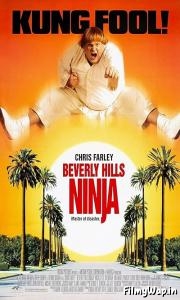 Beverly Hills Ninja (1997