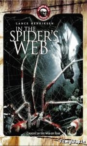 In the Spiders Web (2007) 