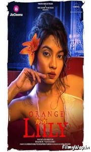 Orange Lilly (2023)         