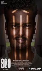 800 (2023)     
