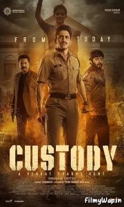 Custody (2023)     