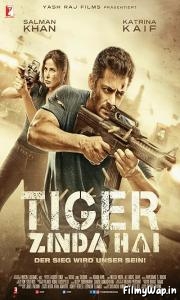 Tiger Zinda Hai (2017)    