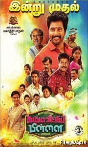 Namma Veettu Pillai (2019)    