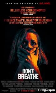 Dont Breathe (2016) 